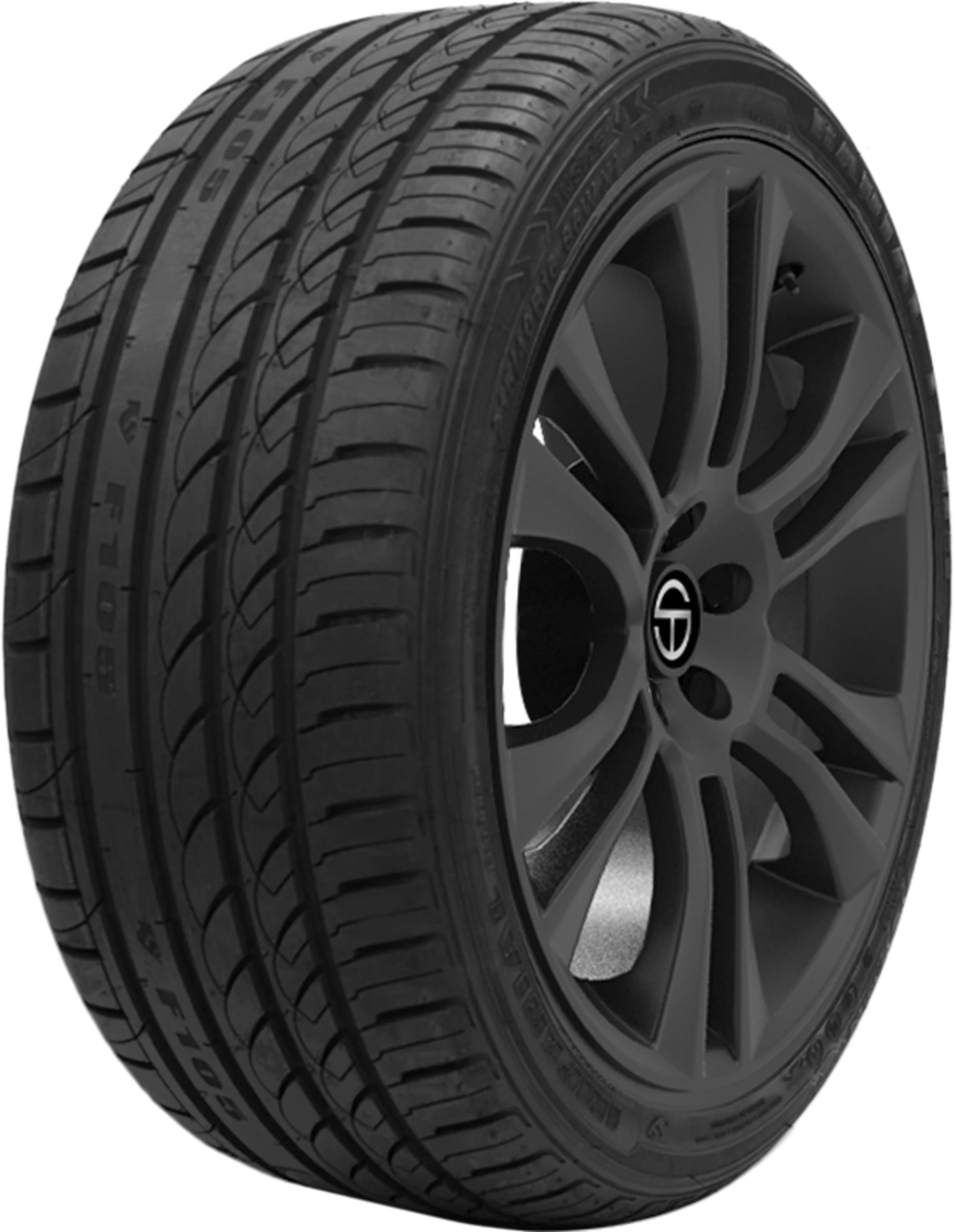 MINERVA F105 265/30 R 19 93W